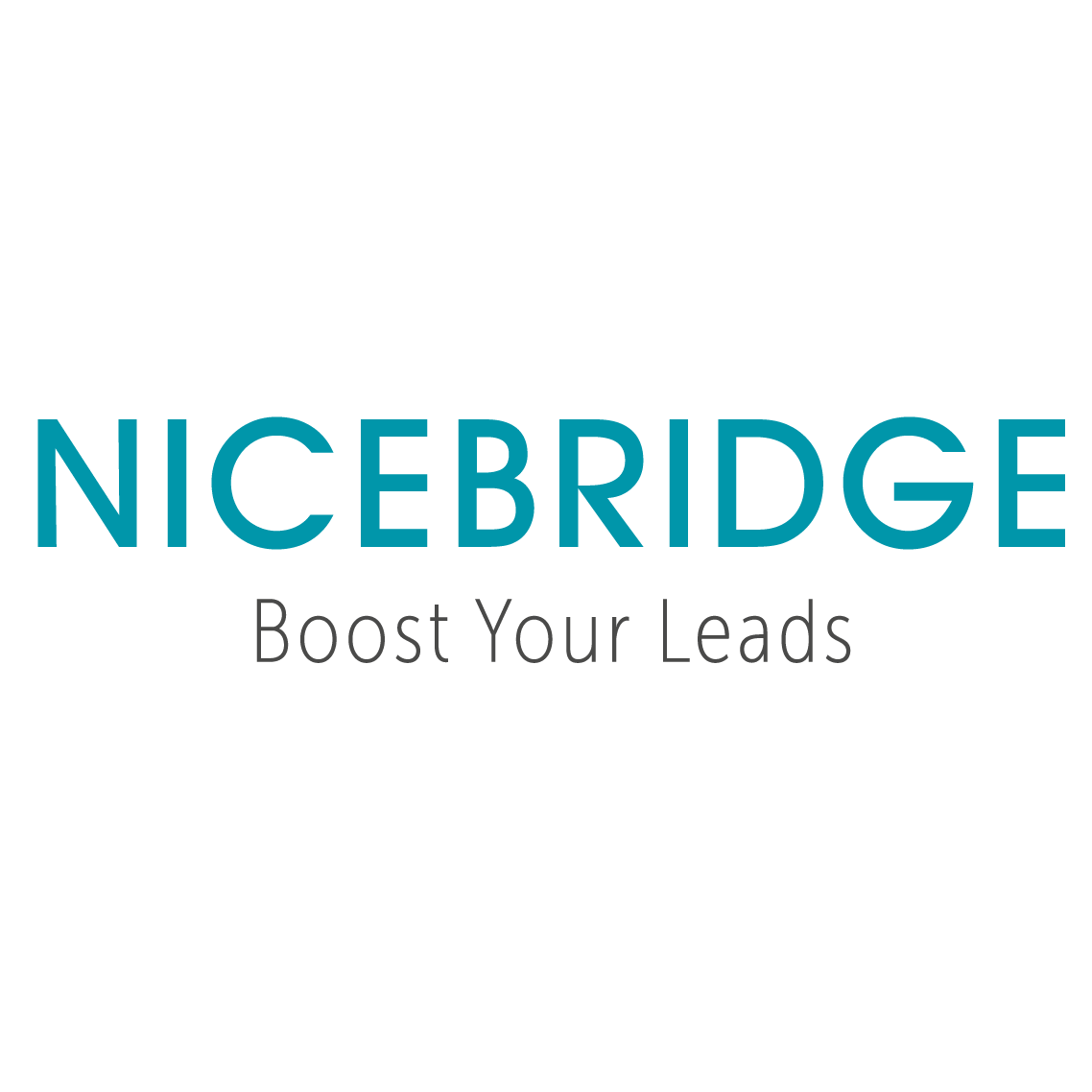 nicebridge_logo_rgb_V2